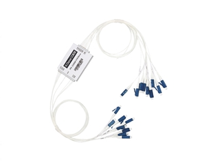 ���ָ�����CCWDM