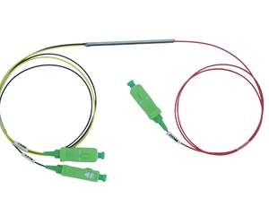 ���ָ�����CWDM