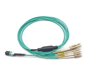 MPO/MTP��֧��������