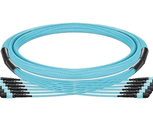 MPO/MTPԤ�˽�������